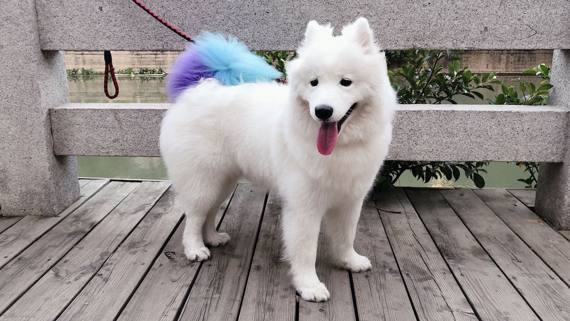 开云体育登录-步行者强势拿下山西队，范弗利特成为关键先生