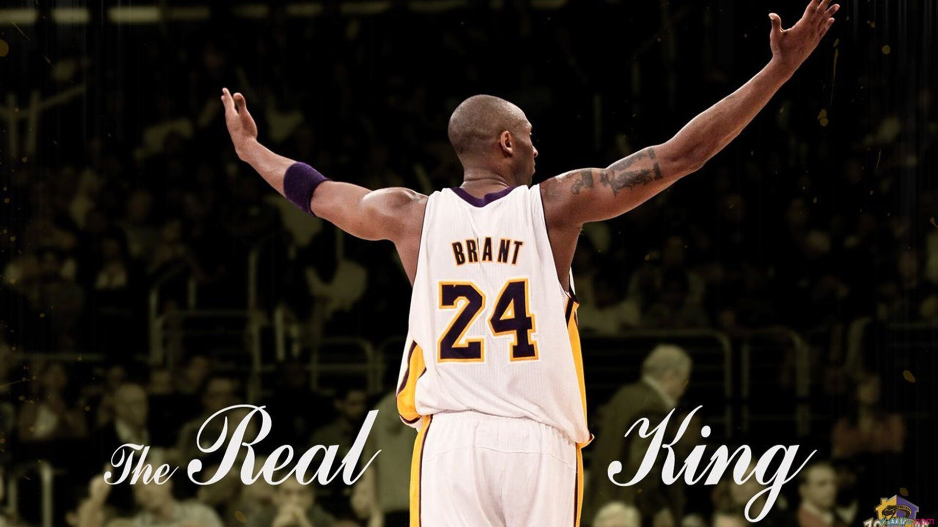 骑士对阵上海队，范弗利特关键制胜，书写传奇之夜