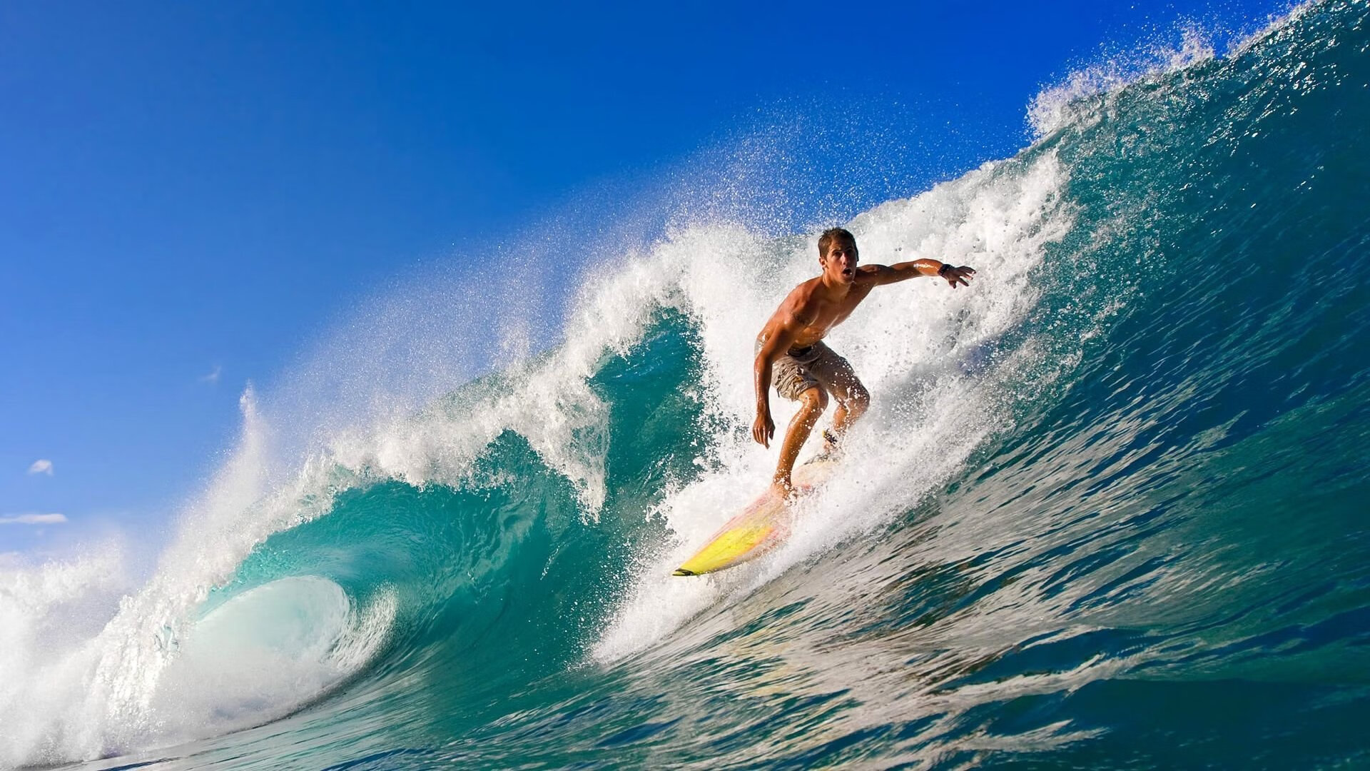 开云体育入口-2026世界杯之夜，塔图姆的独舞，篮球世界的惊叹