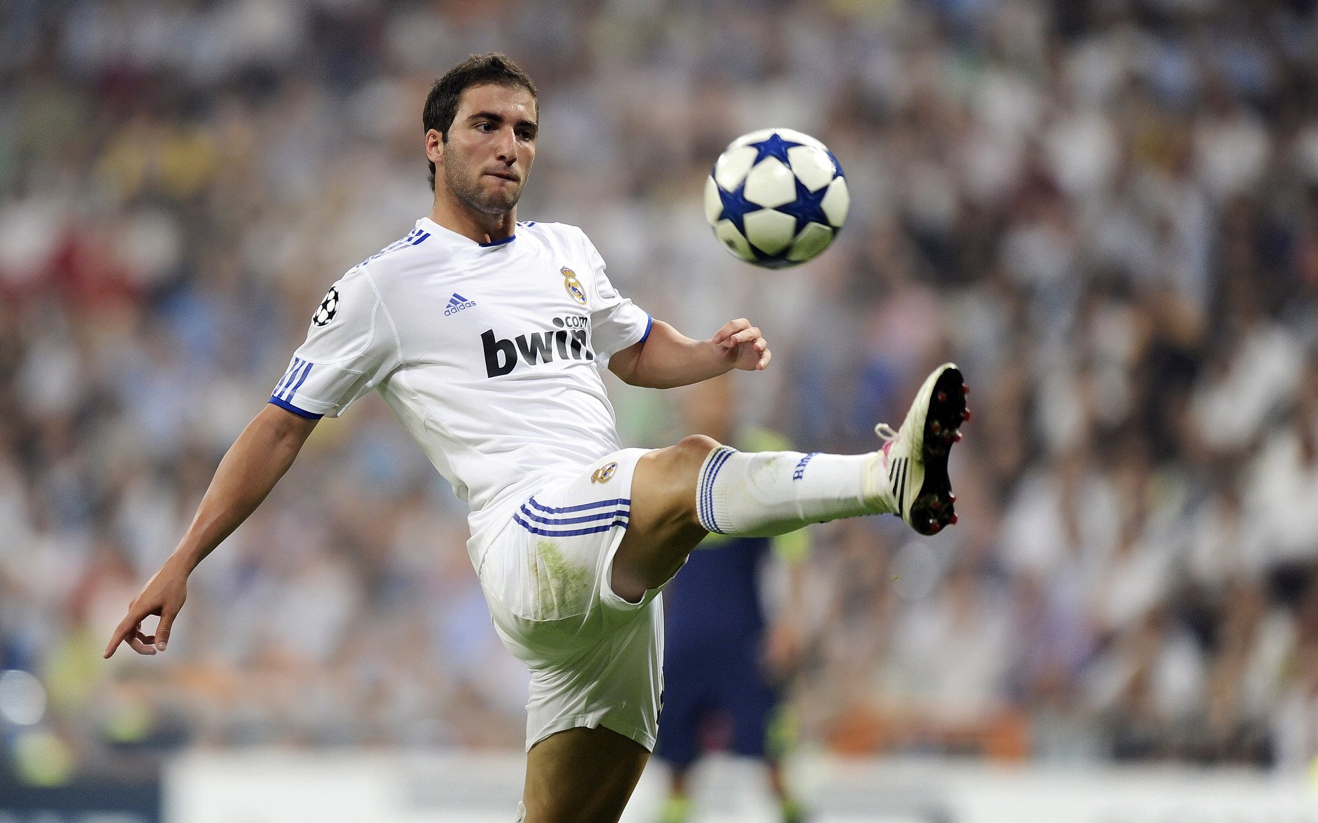 迈凯伦力克雷诺车队，皮亚斯特里扛起全队的崛起之路